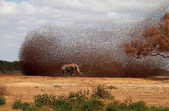 Фотографии од National Geographic
