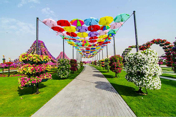 Цветната градина во Дубаи